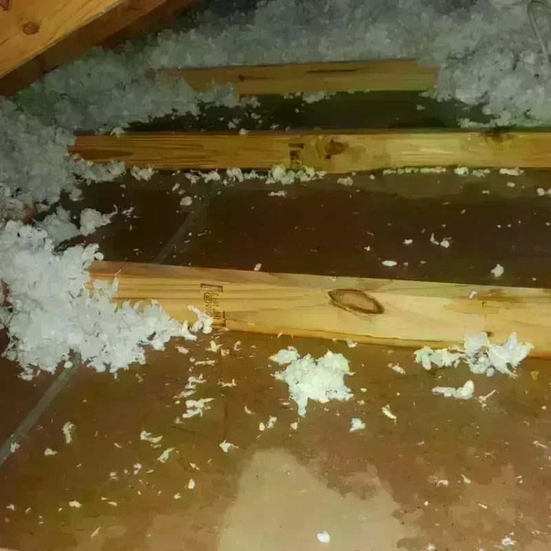 Attic Water Damage in Posey County, IN